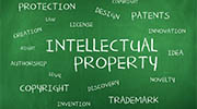 Portugal intellectual property rights investigator